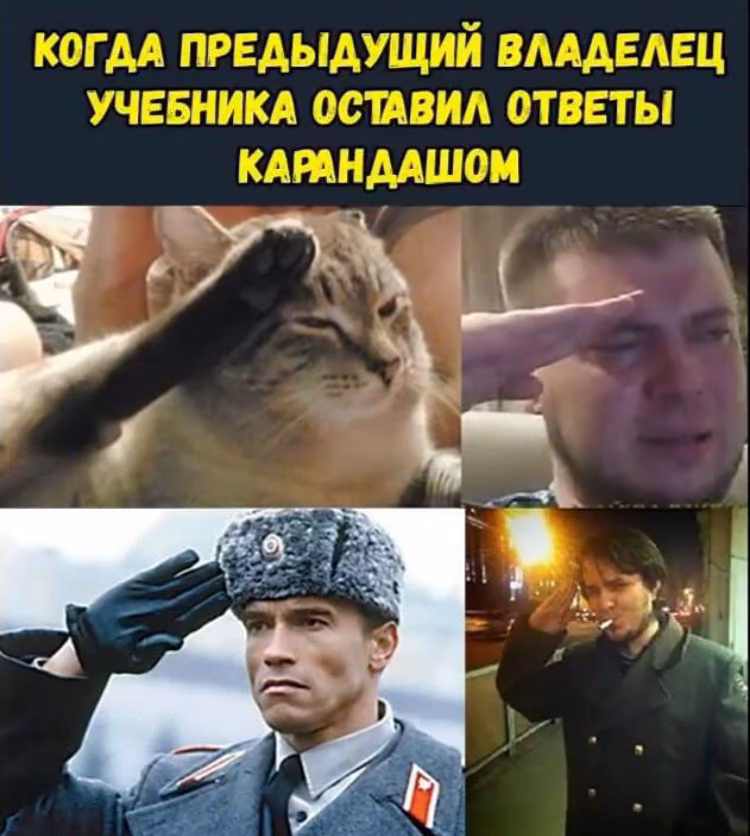 6f59885612377f90a132994ae5c0cb49.jpg