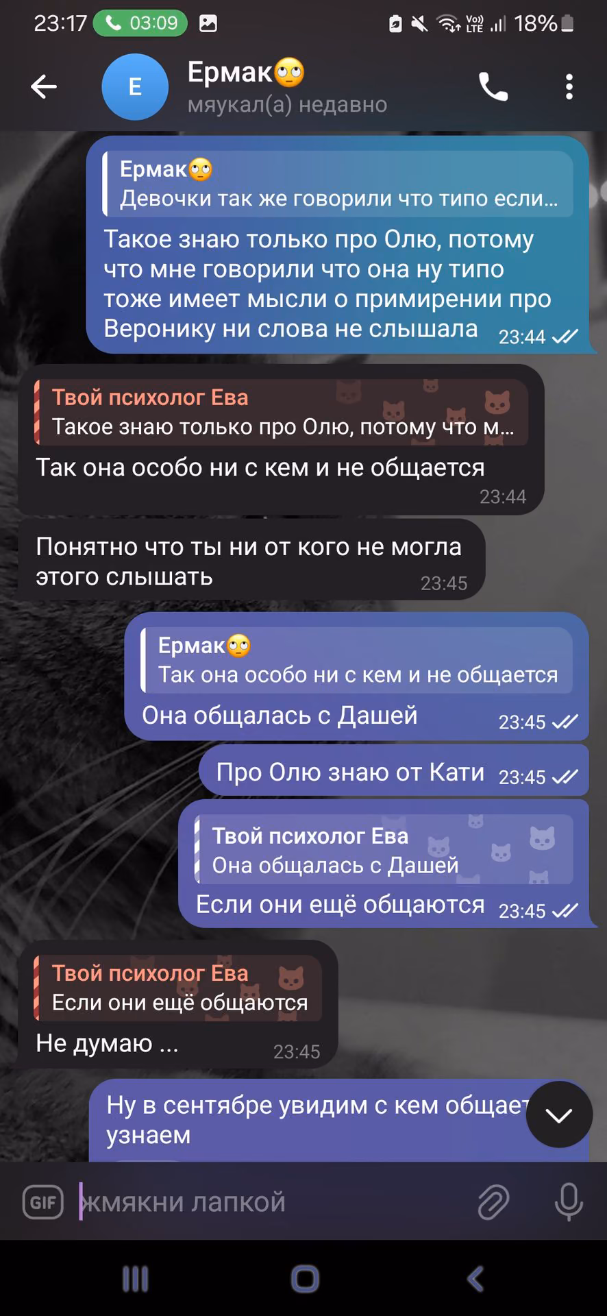 6f599b3e7b50a7624e057cf29b5a73e7.jpg