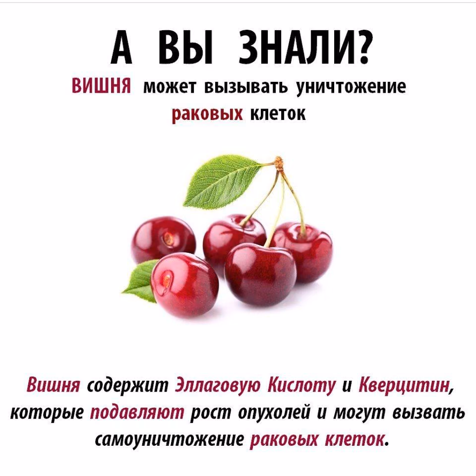 6f69bb7c7dcbdb3fe3891ee22ad46c31.avif