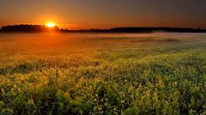 6f6c4c596bae72d98f73c89cec1e7b24.avif