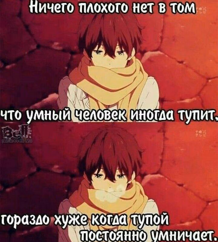 6f740e9a2ff9c458e5176b806dac0385.jpg
