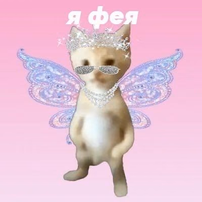 6f81f5557735f2dc3f811bf63bd000df.jpg