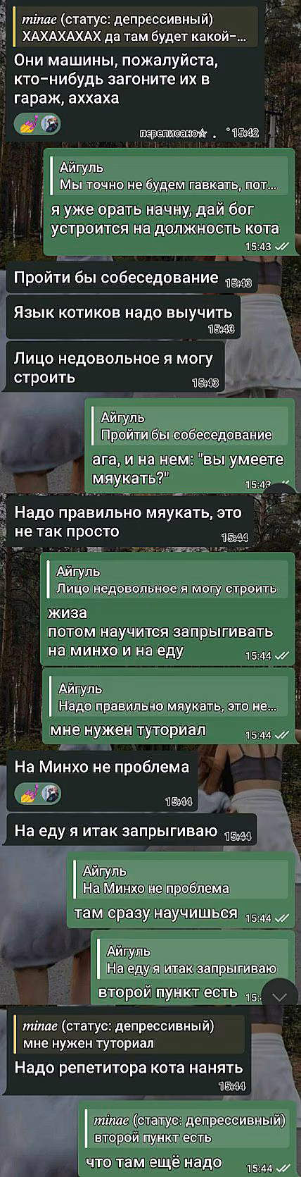6f8ff2b30f7d4fc352cc6e270968447e.jpg