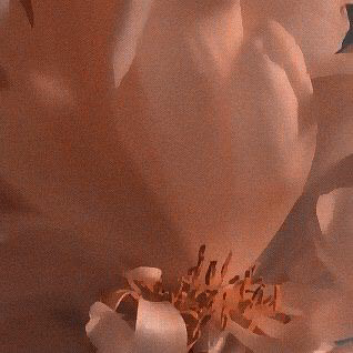 6fac4da114b898040ed1b22613cfda4f.jpg