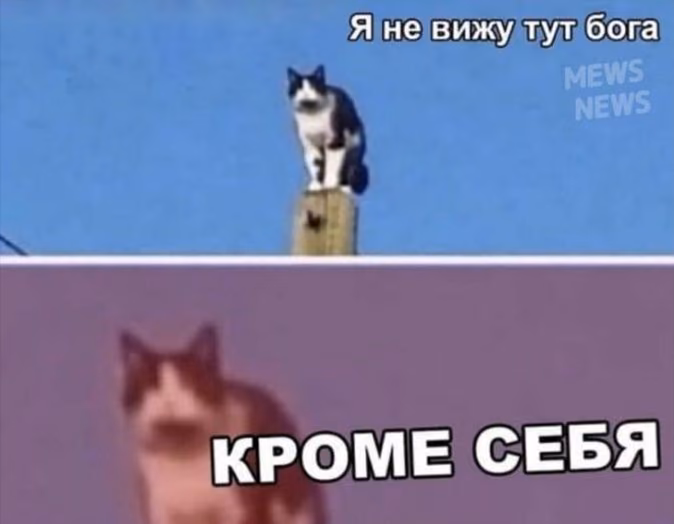 6fb65c28dd9c422a6914141f46b9f43c.avif