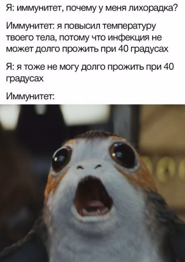 6fba0814e480a9b75b55416a316f48b9.jpg