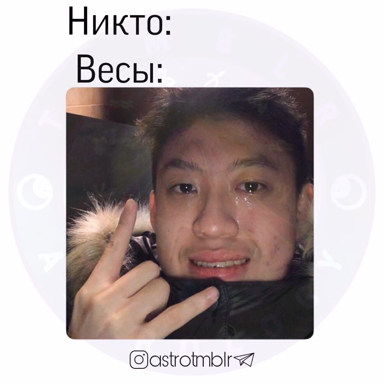 6fbafc0b4184acf3954de595634015d3.avif