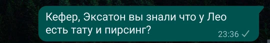 6fcb7ca6a46b392ba31c013f89cef16e.avif