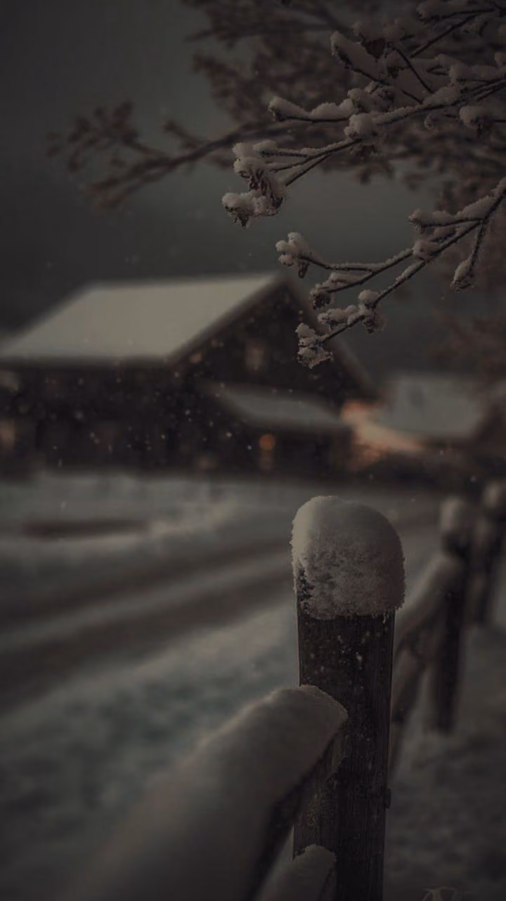 6fcd6685d095f8a6e3d27f67ba24a6a1.jpg