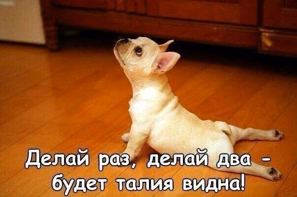 6fd0653350c66646fa3c34ae350bcf30.avif