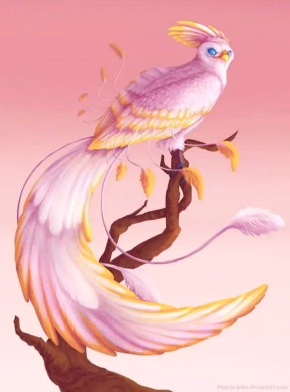 6fd0a9c726aa9cea2dd9af4d9eaf3ce7.avif