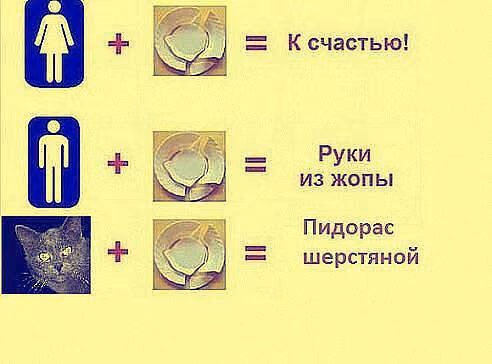 6fd2d2cc901f7d07432f9f2b073f5efb.avif