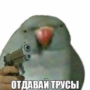6fe6c3759eebc09abe70f6314c9e84dd.jpg