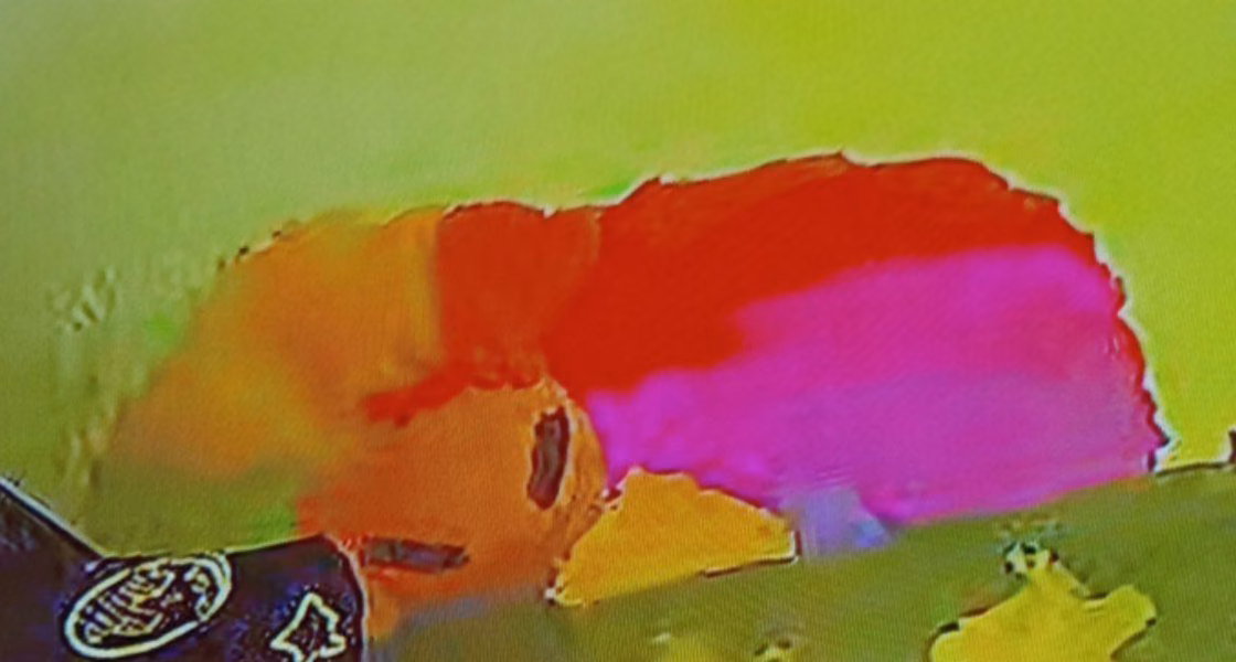 700316cf0af1bbe55c9769f5b15b748b.avif