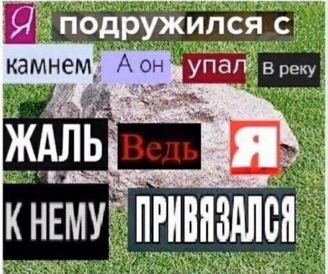 700a949e194b194b77ca6efc8a3e63fc.avif