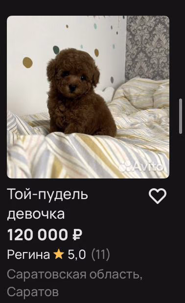 700f74ff144328a84256e1247900e5a4.avif
