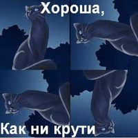 7010867ca1a6923ed5c43726d7ebdba1.jpg