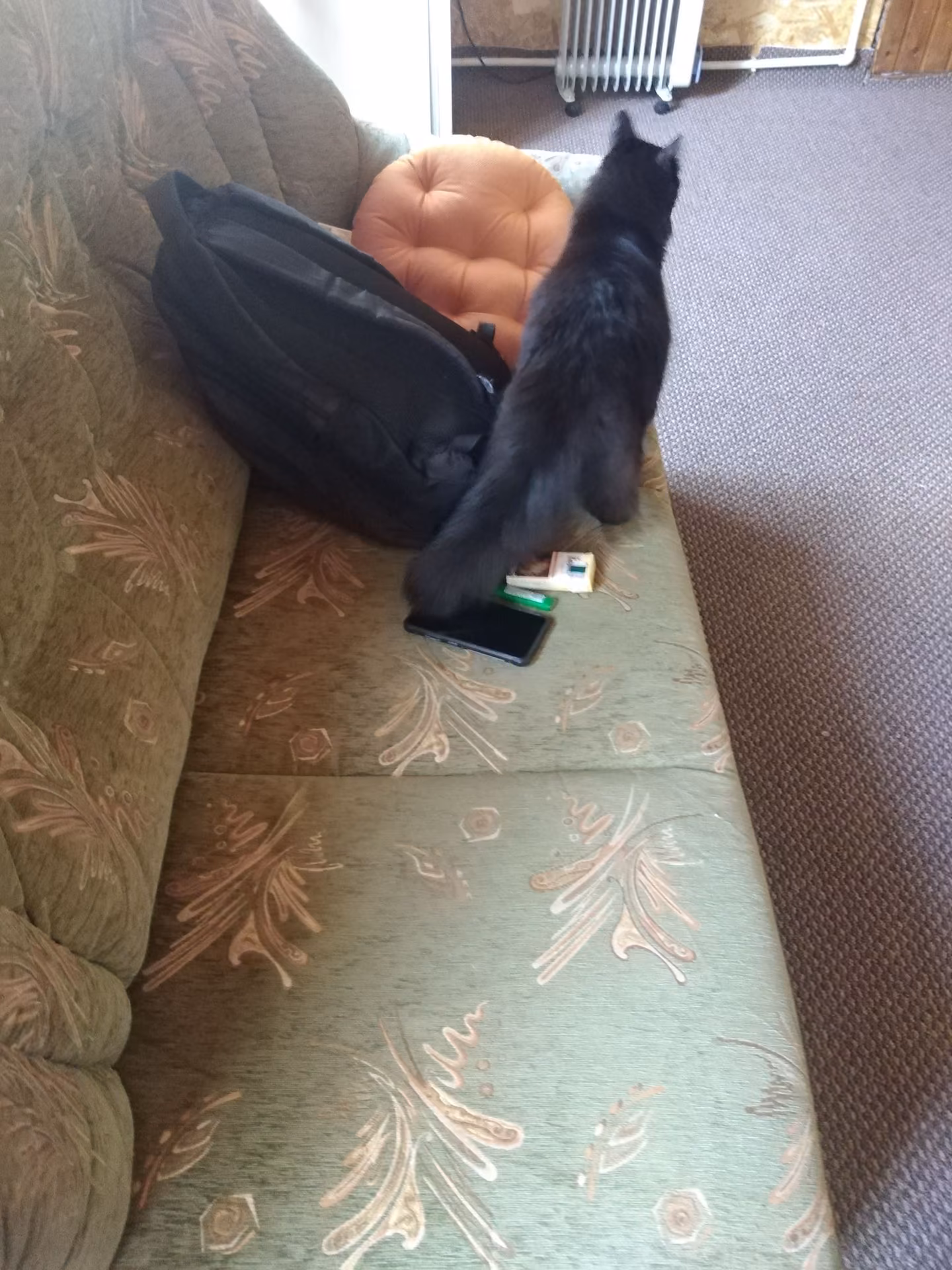 7014523df524d62b6daec353986b42ef.avif