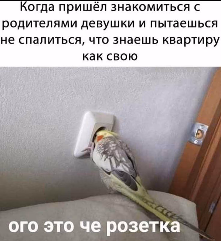 7030cccbd37989cc3190536acb6781a7.avif