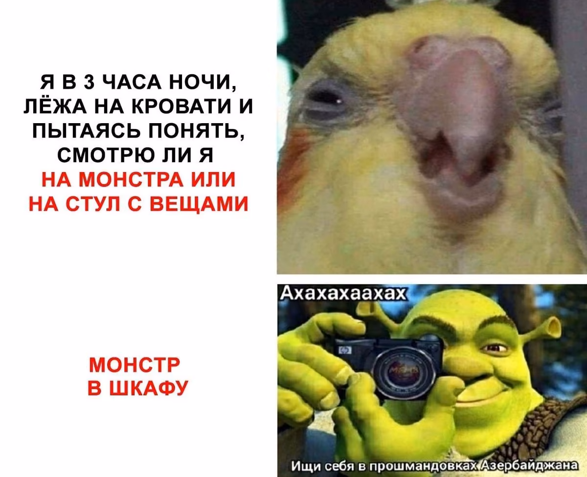 70355137a146d692cafe7756add9c45a.jpg