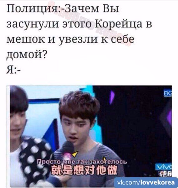 703ed5e441a1f9efc74355602bfbad89.avif