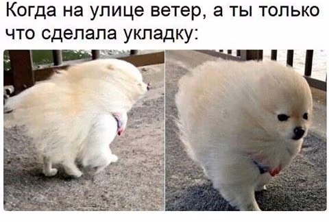 70420316ce5b4ad9465ae0378991d5e4.jpg
