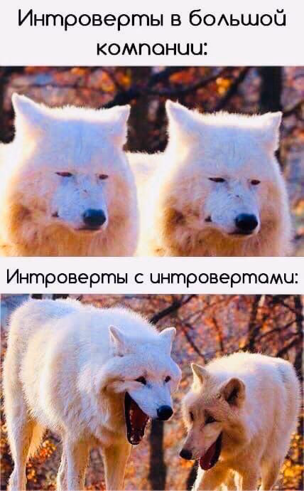 704a9b6f30801b280fa310f68389a669.avif