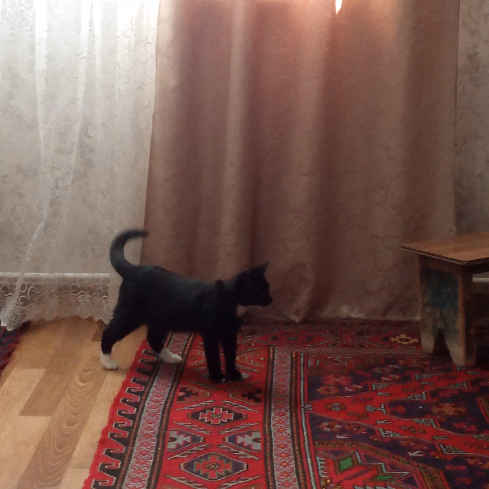 705f1054c0ddabdb6d453307d134200b.jpg