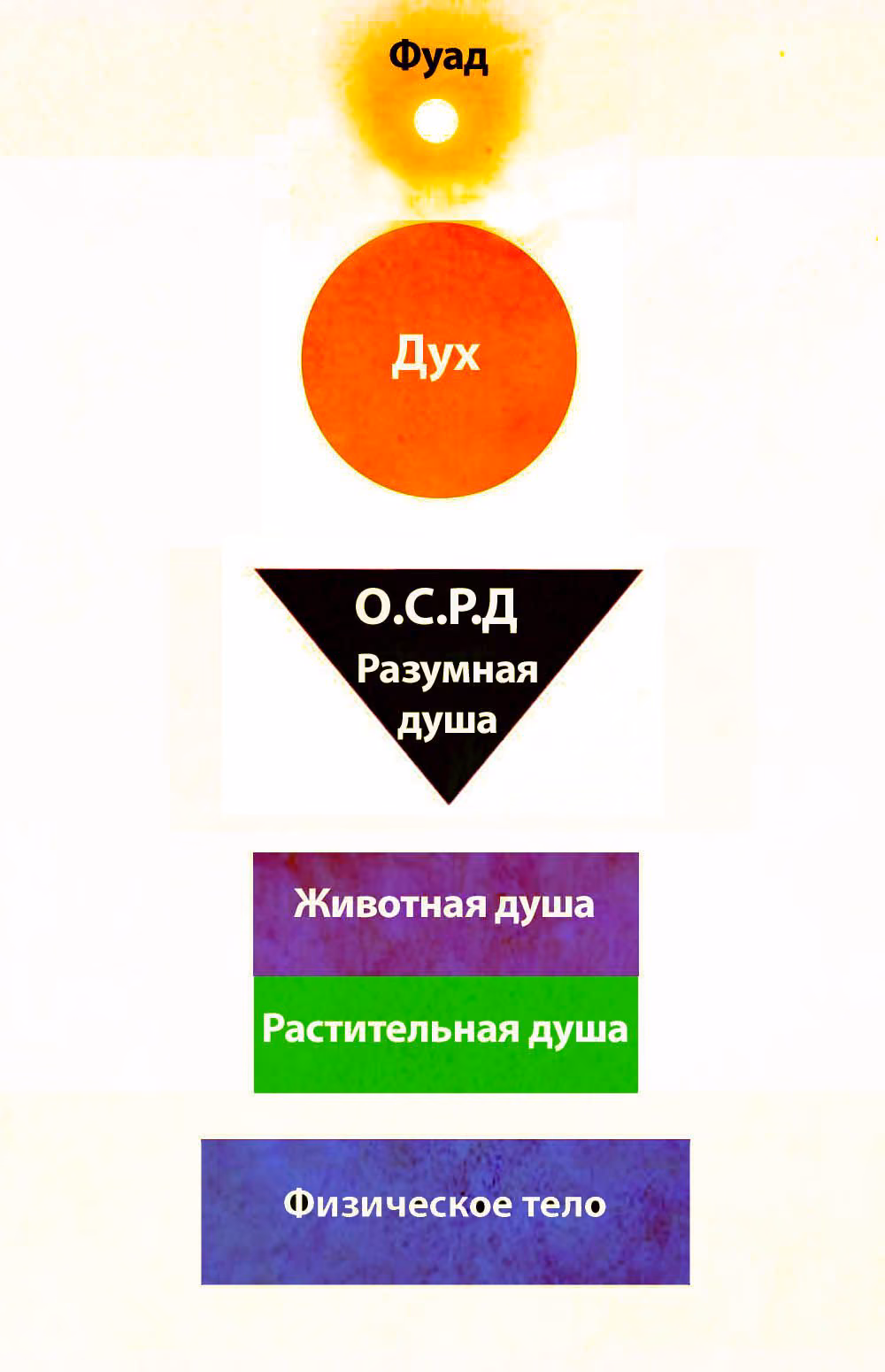 7065d407a261a8e9f07d182dd510cc48.avif