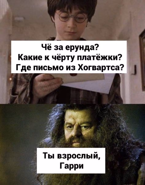 706c81db706c0af825638d1ffd8609a9.jpg