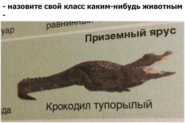 7074b480b6052a4aed235f978b89976c.avif