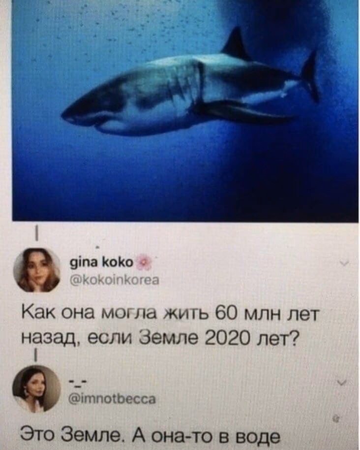 707da08e791c0f4b87083732aed779ca.jpg