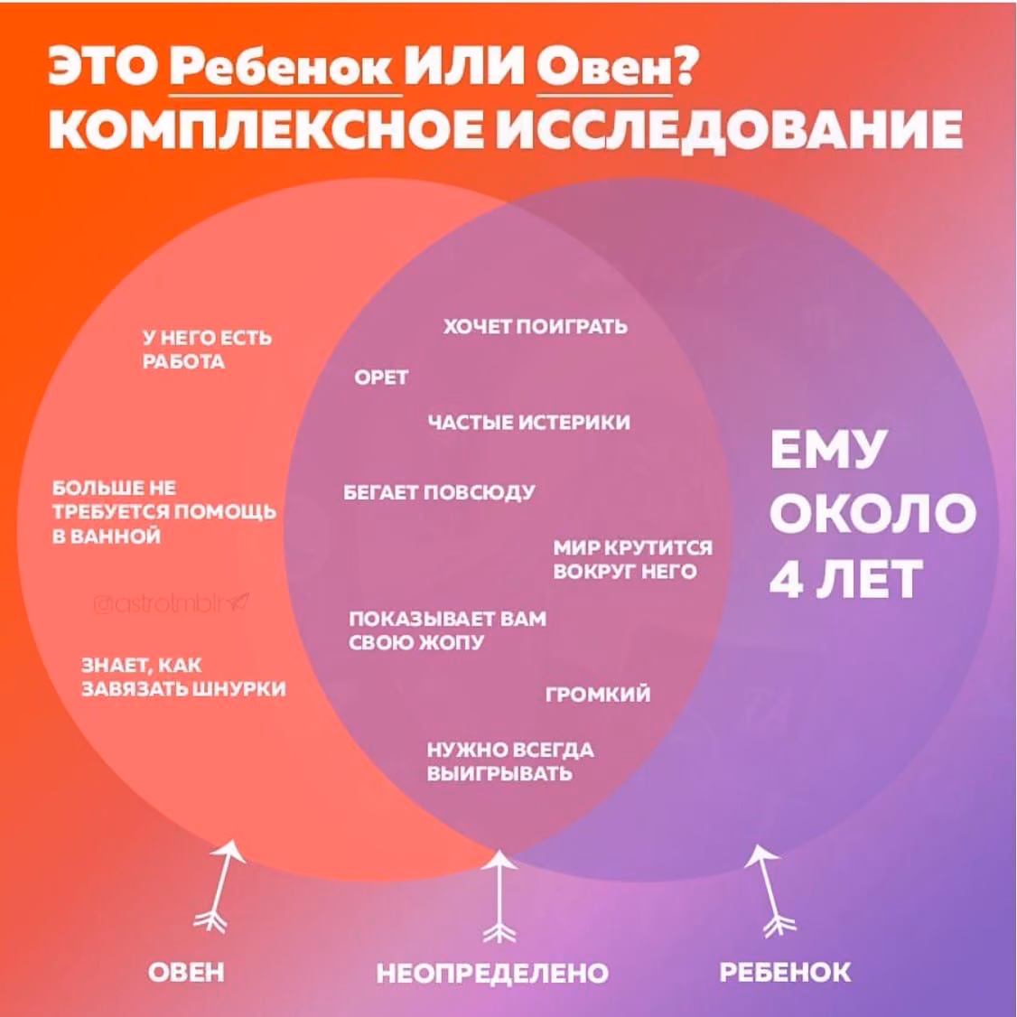 708a025df93603a997fb113bc711f170.avif