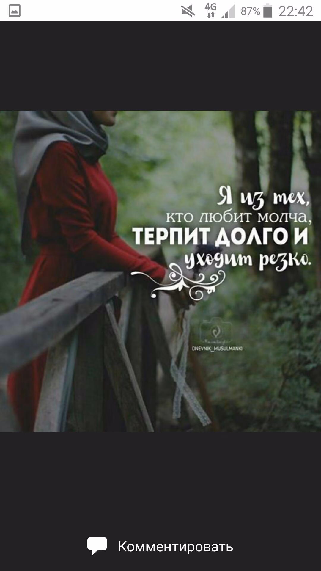 7095ccbd1d88bbbf30a5e01738ad8b2f.jpg