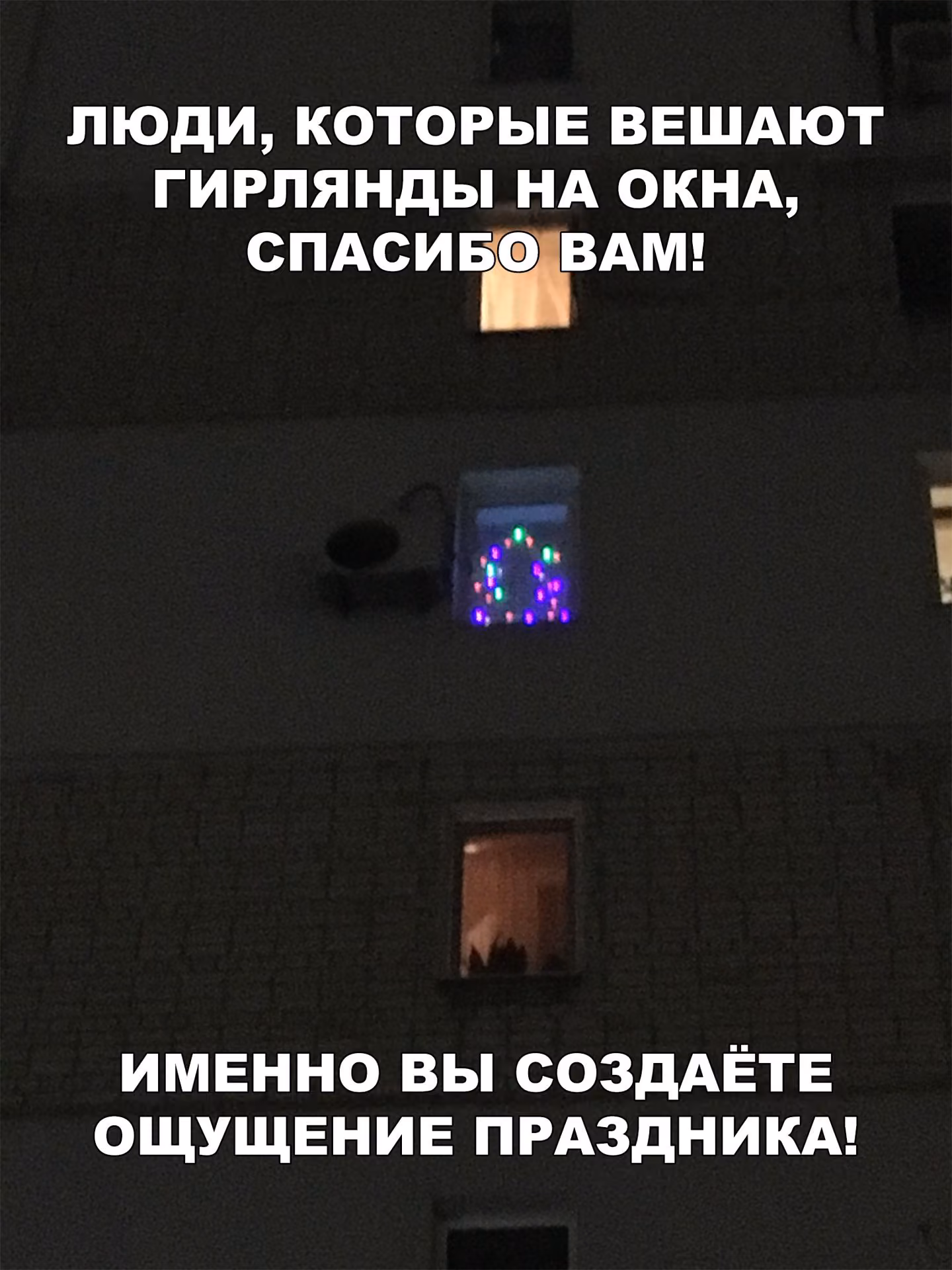 70a007e1d59c1e937b8da642d4d753c7.jpg