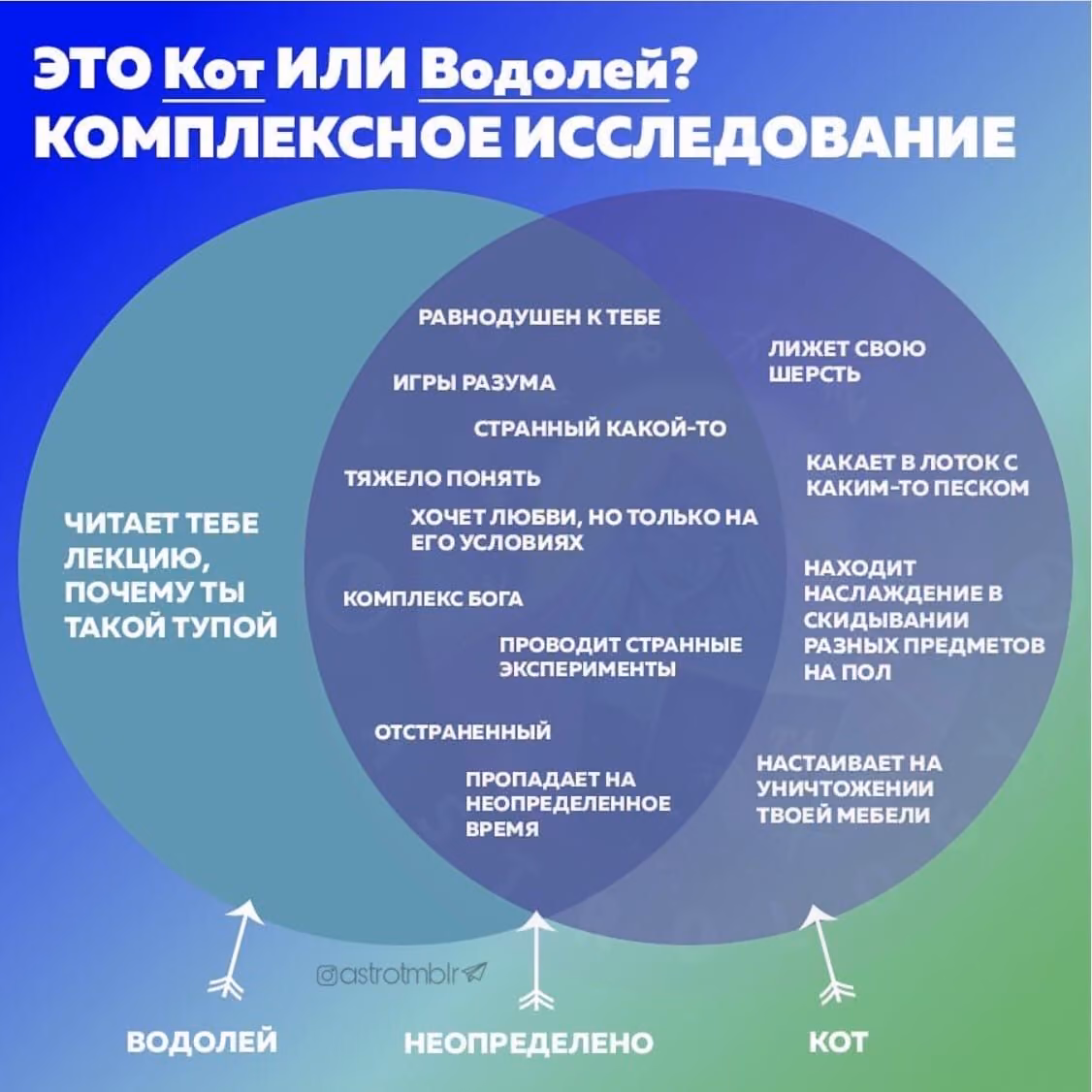 70b137af0d0bc907a31bea348ead88ef.avif