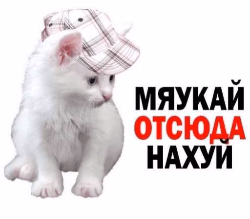 70b4628c6eff9237f11d0ab8dd3eb431.avif