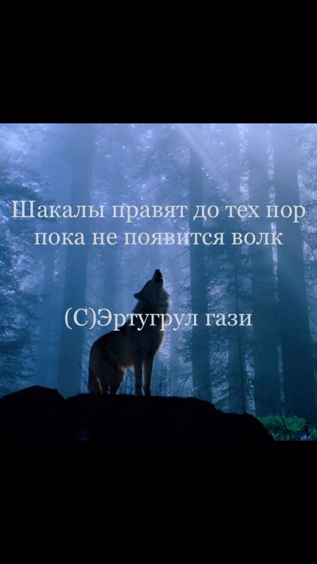 70be17c4c5d0deba5b736f3b7820420a.jpg
