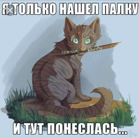 70c30be463dc254f41a94cbddc02c79a.avif