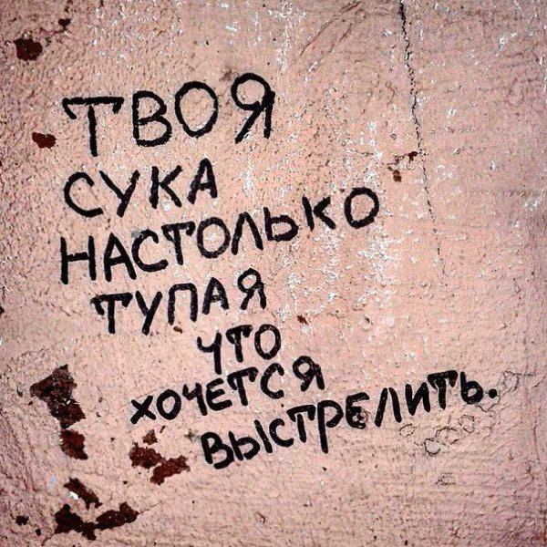 70c892666c339ccb741b10afecb33b53.avif