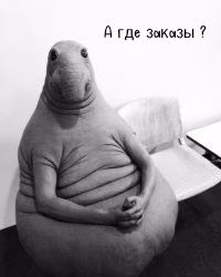 70d1b1cbdd3a647973a3272fc197c342.avif
