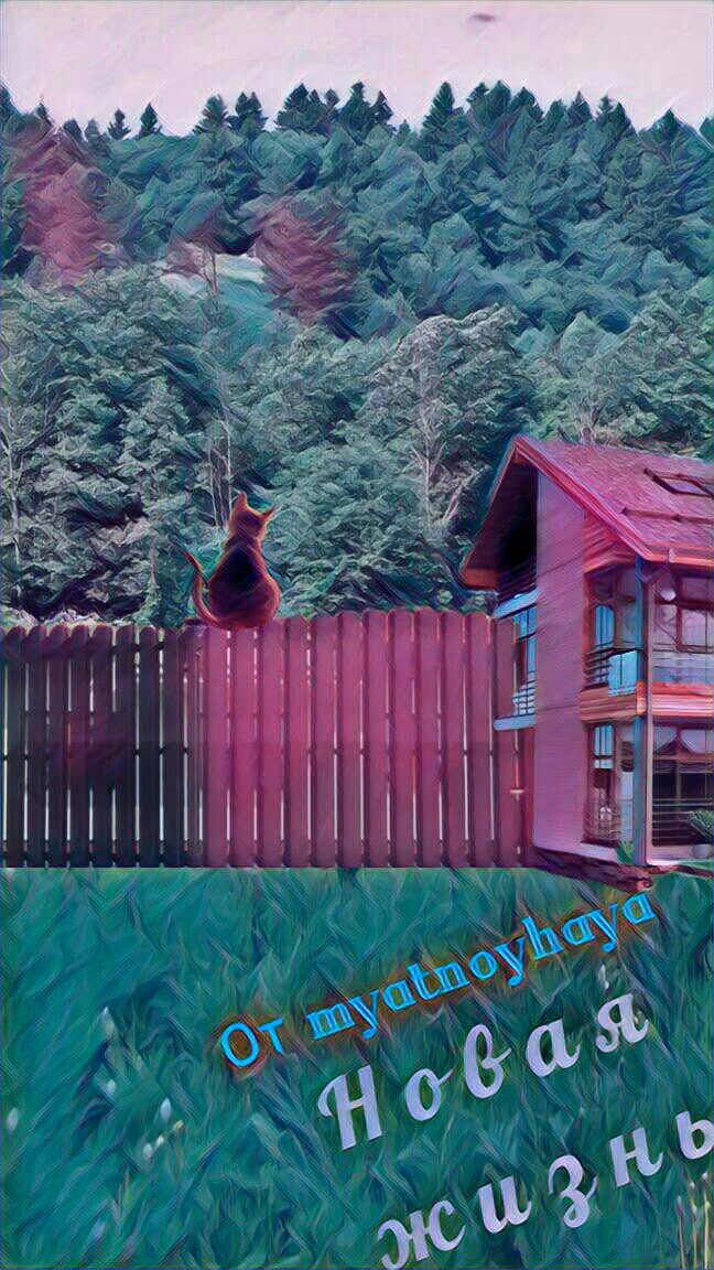 70d9c291321b408a55505605d64f2fb2.avif