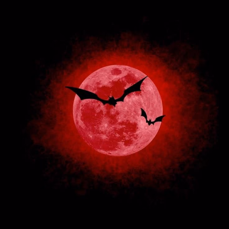 70f5823364f8807eba7cc9cb3b783241.avif