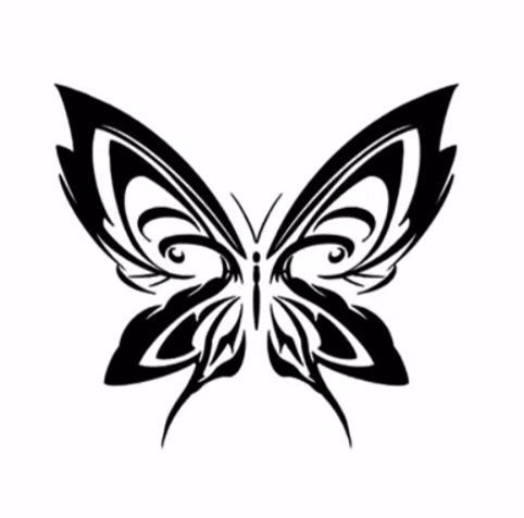 70f69d8bc765a7b8243684aa08a00ff8.avif