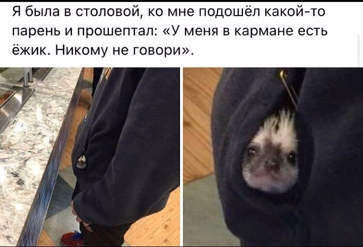 7106df1d987fad498461005455e6e7fb.avif