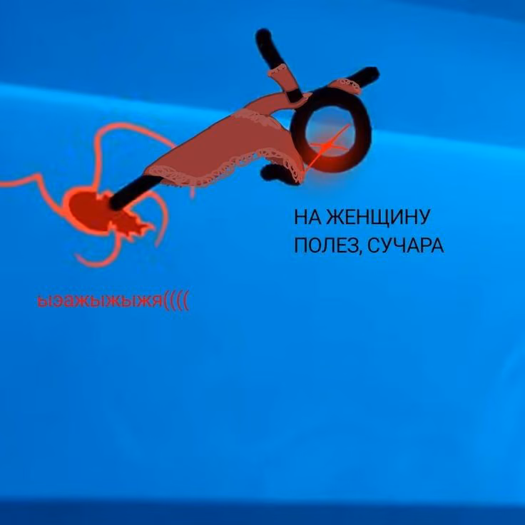 710d23645e035fa968fd1fceebd00eb8.jpg