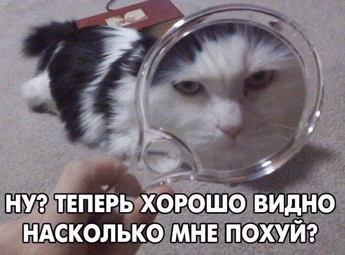 710ddef1f9a65beeaa42921dec53afa7.jpg