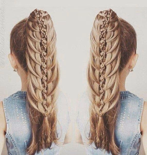 7111ed8cdc9d3fd52f359a352c67bc5a.jpg