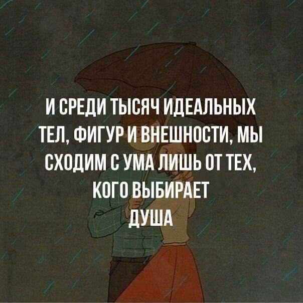 711e51556b9271072a7d2229dd68f687.jpg