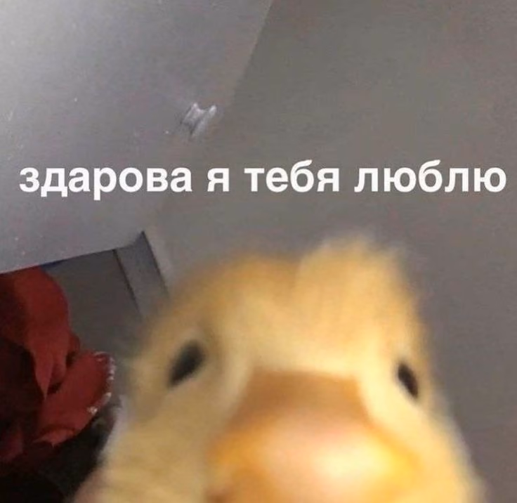 712c3fb88256f85055c2f5e1a99ac24a.avif